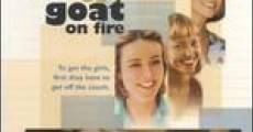 Goat on Fire and Smiling Fish (1999)