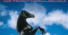 The Black Stallion Returns film complet