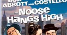 The Noose Hangs High film complet