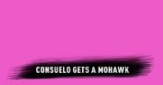 Consuelo Gets a Mohawk (2011)