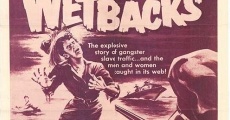Wetbacks film complet