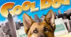 Cool Dog - Rin Tin Tin a New York