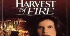 Filme completo Harvest of Fire