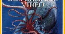 National Geographic - Sea Monsters: Search For The Giant Squid streaming