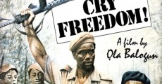 Cry Freedom streaming