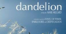 Dandelion streaming