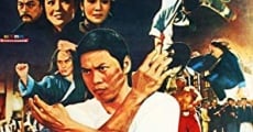 Tian xia di yi quan (1972)