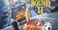 Homeward Bound II: Lost in San Francisco film complet