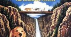 Homeward Bound: The Incredible Journey film complet