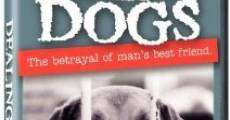 Filme completo Dealing Dogs