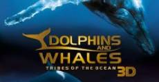Filme completo Dolphins and Whales 3D: Tribes of the Ocean