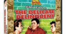 The Delicate Delinquent film complet