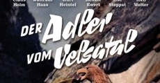 Der Adler vom Velsatal film complet