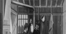 Der Hund von Baskerville: Dr. Macdonalds Sanatorium (1920)