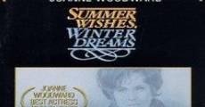 Summer Wishes, Winter Dreams film complet