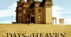 Days of Heaven film complet