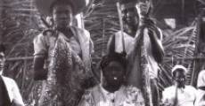Divine Horsemen: The Living Gods of Haiti (1985)