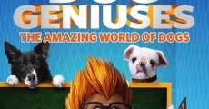 Filme completo Dog Geniuses