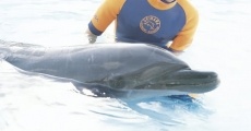 Dolphin blue: Fuji, mou ichido sora e (2007)