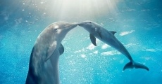 Dolphin Tale 2 film complet
