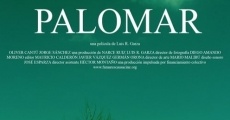 Palomar streaming