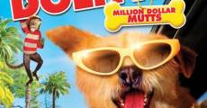 Dr. Dolittle 5 streaming