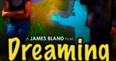 Dreaming in Color streaming