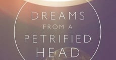 Dreams From a Petrified Head