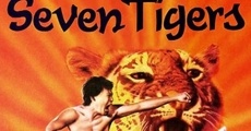 Filme completo Duel of the Seven Tigers