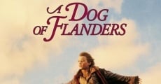 A Dog of Flanders film complet
