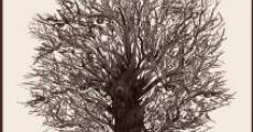 El árbol sin sombra streaming