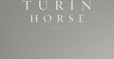 Le cheval de Turin streaming