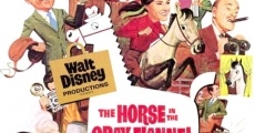 The Horse in the Gray Flannel Suit (1968)