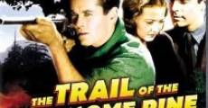The Trail of the Lonesome Pine film complet