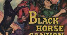 Black Horse Canyon film complet