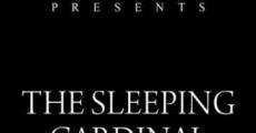 Filme completo The Sleeping Cardinal