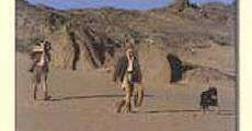 The Sheltering Desert film complet