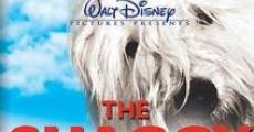 The Shaggy Dog film complet