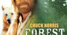 Forest Warrior film complet