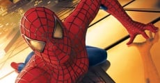 Spider-Man streaming