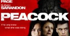 Peacock film complet