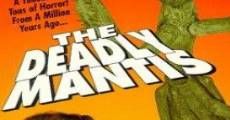 The Deadly Mantis film complet