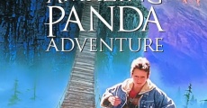 The Amazing Panda Adventure film complet