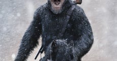 War for the Planet of the Apes film complet