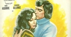 El primer amor (1974)