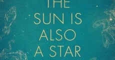 The Sun Is Also a Star film complet