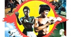 Le Doigt Vengeur De Bruce Lee streaming