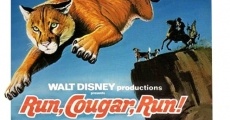 Run, Cougar, Run film complet