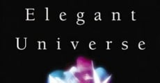 Filme completo The Elegant Universe