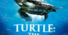 L'incredibile viaggio della tartaruga